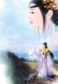 《再嫁小夫郎》