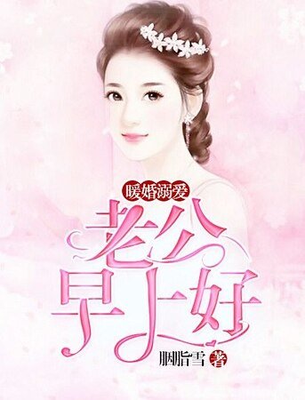 暖婚溺爱:老公早上好