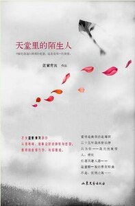 天堂里的陌生人(出书版)