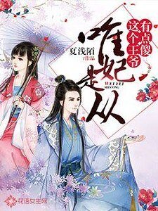 唯妃是从:这个王爷有点傻