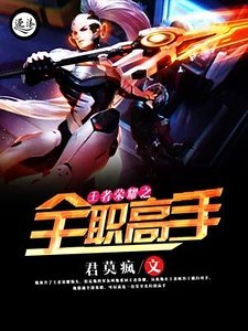 王者榮耀之全職高手