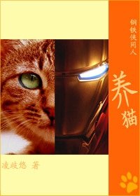 《(钢铁侠同人)养猫》