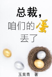 《总裁,咱们的蛋丢了》