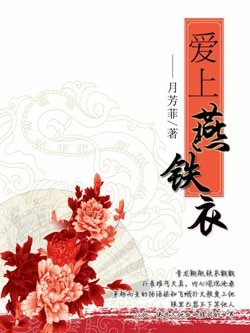 爱上燕铁衣