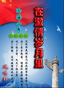 在际情岁月里