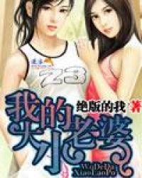 《我的大小老婆》