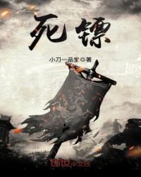 斯镖