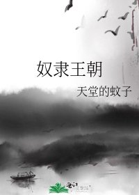 《奴隶王朝》