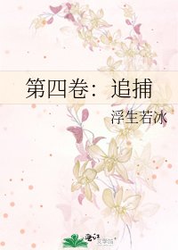 第四卷:追捕