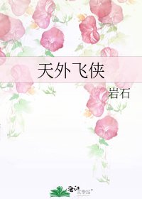 天外飞侠