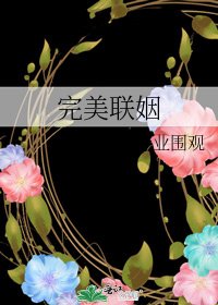 完美聯姻