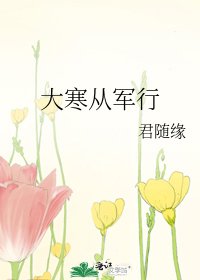 大寒从军行
