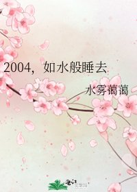 2004,如水般睡去