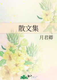 散文集