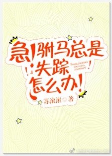 《急!驸马总是失踪怎么办!》