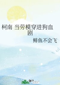 (柯南同人)当劳模穿烃初血剧