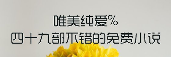 唯美純愛%四十九部不錯的免費小説