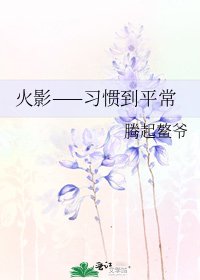 火影——習慣到平常