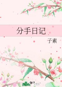 分手日记