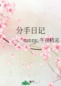 分手日记