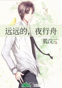 远远的,夜行舟