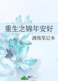 重生之錦年安好