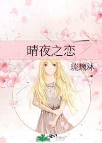 《晴夜之恋》