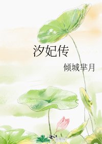 汐妃传