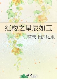 红楼之星辰如玉
