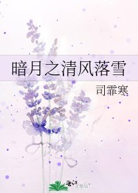 暗月之清风落雪