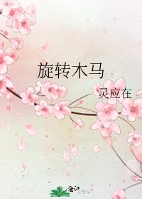 《旋转木马》