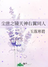 尘世之镜天神右翼同人