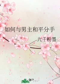 《如何与男主和平分手》