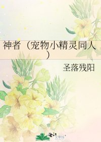 神者（宠物小精灵同人）