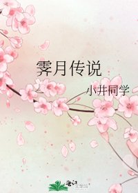 霁月传说