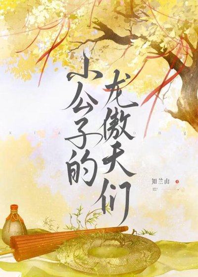 小公子的龙傲天们