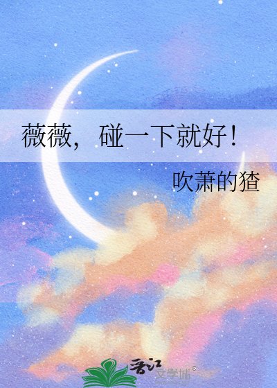 《薇薇,碰一下就好!》