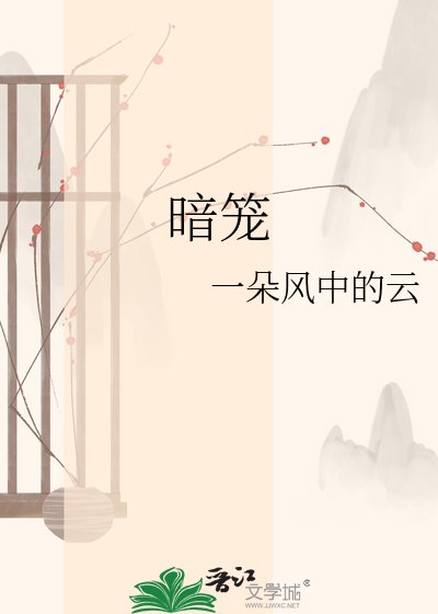 《暗笼》