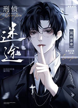 刑偵:迷途/蔣支隊的心動信號