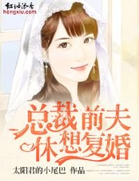 总裁钎夫,休想复婚!